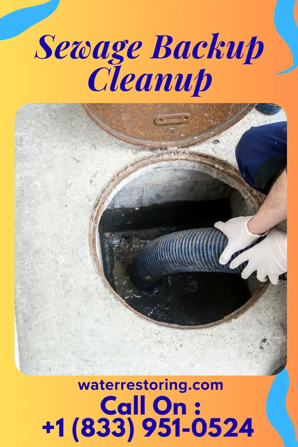 Sewage Backup Cleanup in Leipsic, OH