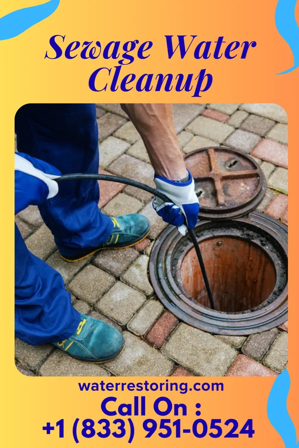 Sewage Water Cleanup in Leipsic, OH