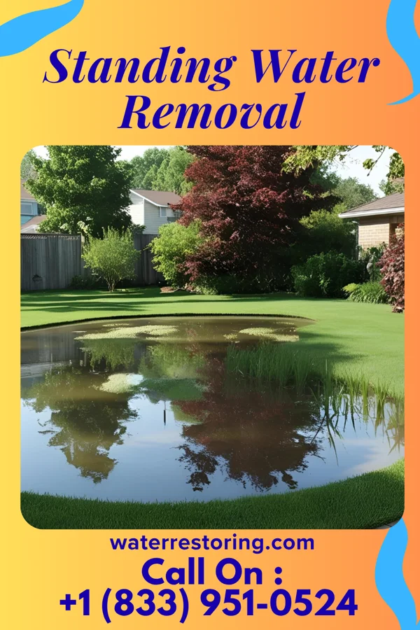 Standing Water Removal in Leipsic, OH